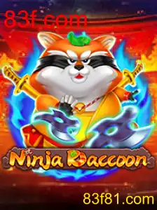 NinjaRaccoon